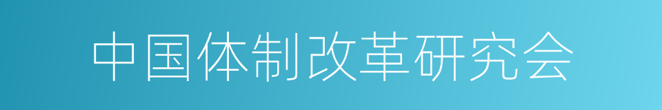 中国体制改革研究会的同义词