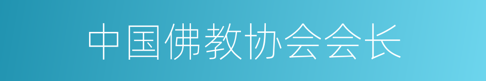 中国佛教协会会长的同义词