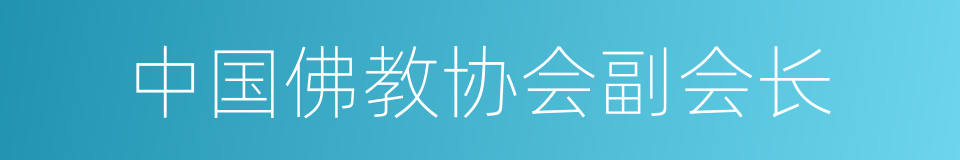 中国佛教协会副会长的同义词