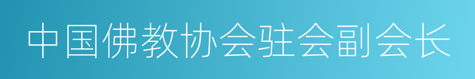 中国佛教协会驻会副会长的同义词