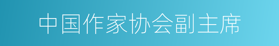 中国作家协会副主席的同义词