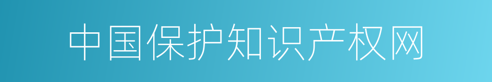 中国保护知识产权网的同义词