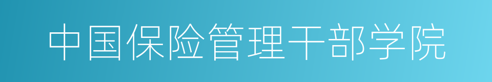 中国保险管理干部学院的同义词