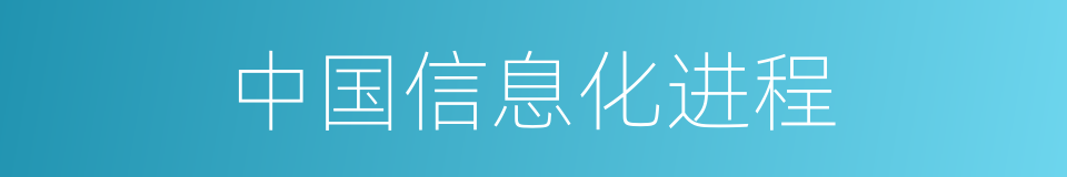 中国信息化进程的同义词