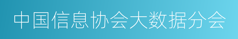 中国信息协会大数据分会的同义词