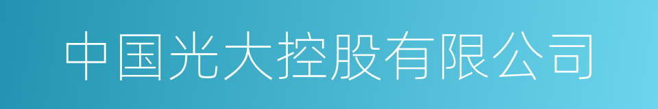 中国光大控股有限公司的同义词