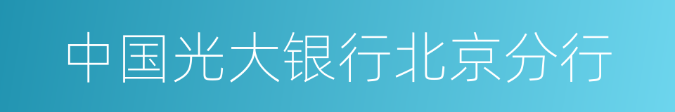中国光大银行北京分行的同义词