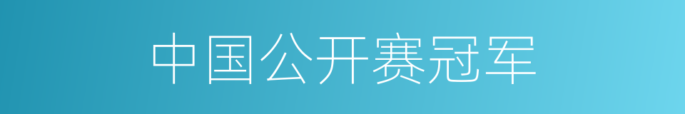中国公开赛冠军的同义词