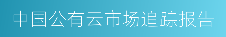 中国公有云市场追踪报告的同义词