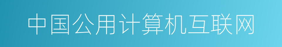 中国公用计算机互联网的同义词