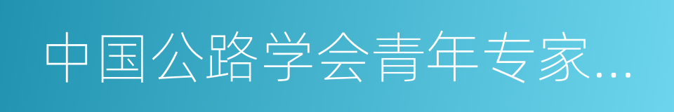 中国公路学会青年专家委员会的同义词