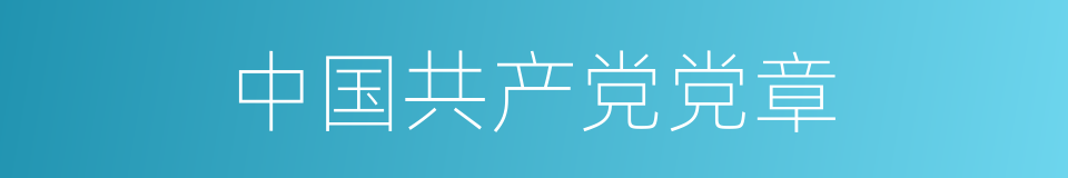 中国共产党党章的同义词