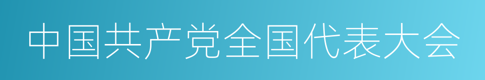 中国共产党全国代表大会的同义词