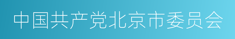 中国共产党北京市委员会的同义词