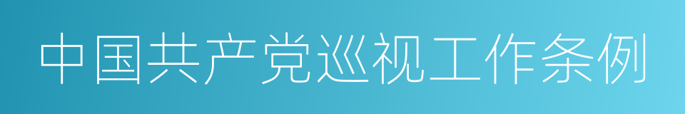 中国共产党巡视工作条例的同义词