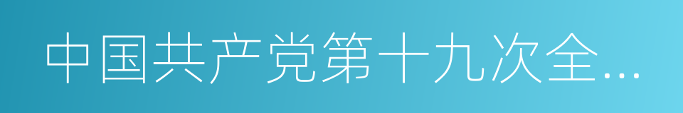 中国共产党第十九次全国代表大会的同义词