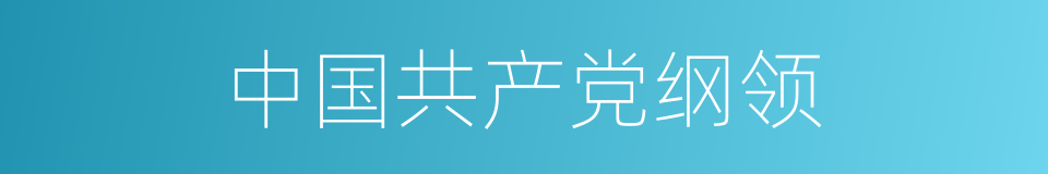 中国共产党纲领的同义词