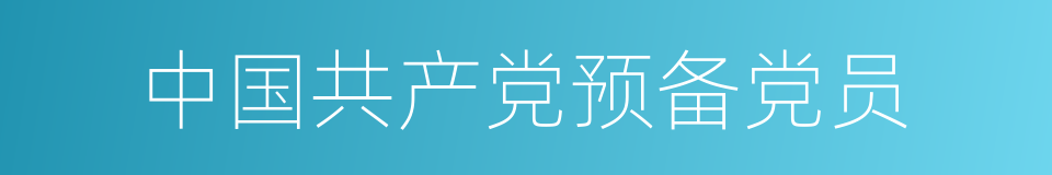 中国共产党预备党员的同义词