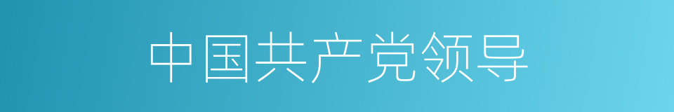 中国共产党领导的同义词