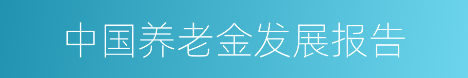 中国养老金发展报告的同义词