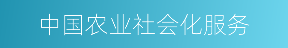 中国农业社会化服务的同义词