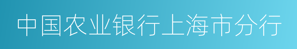 中国农业银行上海市分行的同义词