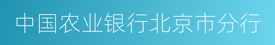 中国农业银行北京市分行的同义词