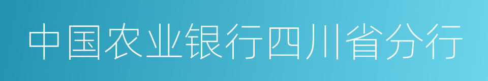 中国农业银行四川省分行的同义词