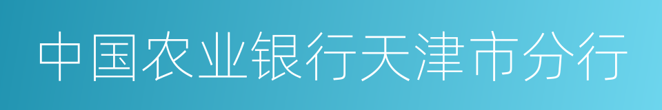 中国农业银行天津市分行的同义词