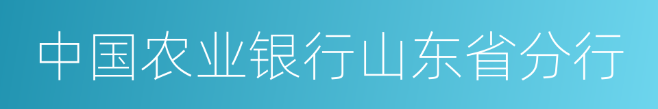 中国农业银行山东省分行的同义词