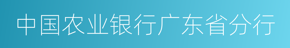 中国农业银行广东省分行的同义词