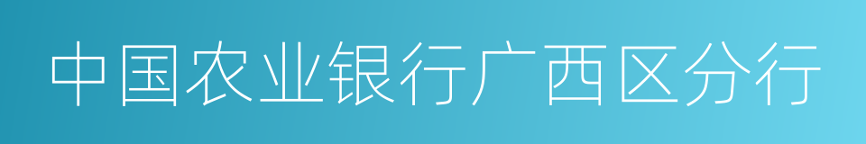 中国农业银行广西区分行的同义词