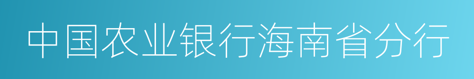 中国农业银行海南省分行的同义词