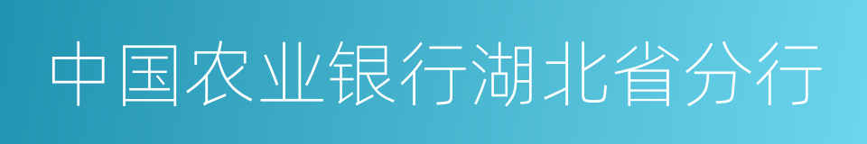 中国农业银行湖北省分行的同义词