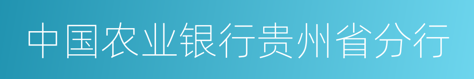 中国农业银行贵州省分行的同义词