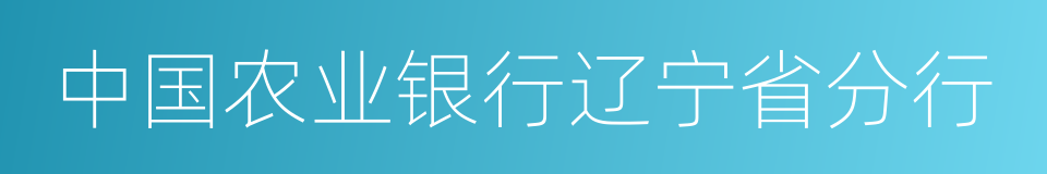 中国农业银行辽宁省分行的同义词