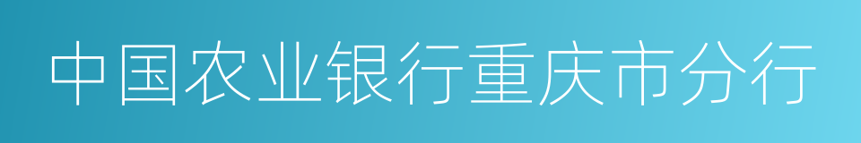 中国农业银行重庆市分行的同义词