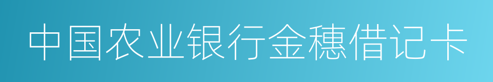 中国农业银行金穗借记卡的同义词