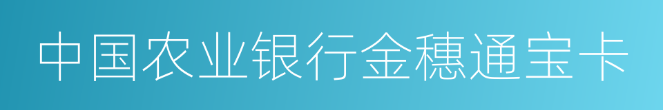 中国农业银行金穗通宝卡的同义词