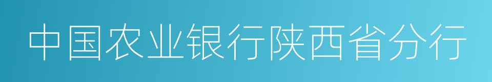 中国农业银行陕西省分行的同义词