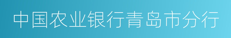 中国农业银行青岛市分行的同义词