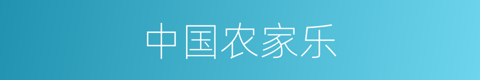 中国农家乐的同义词