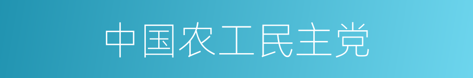 中国农工民主党的同义词