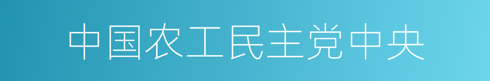 中国农工民主党中央的同义词