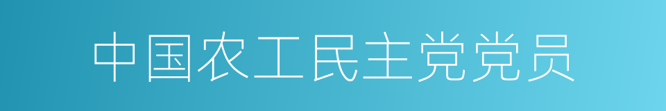 中国农工民主党党员的同义词