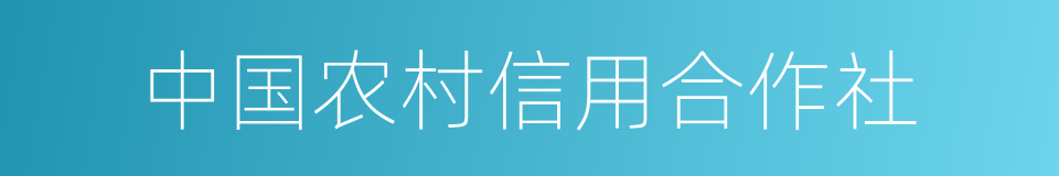 中国农村信用合作社的同义词