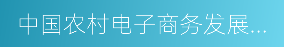 中国农村电子商务发展报告的同义词