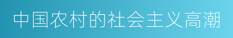 中国农村的社会主义高潮的同义词