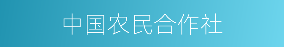 中国农民合作社的同义词