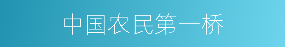 中国农民第一桥的同义词